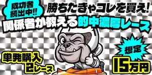 競艇ブルドッグの有料プラン「単発15万」の画像
