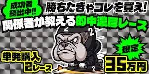 競艇ブルドッグの有料プラン「単発35万」の画像