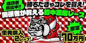 競艇ブルドッグの有料プラン「単発70万」の画像