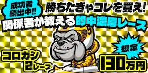 競艇ブルドッグの有料プラン「転がし130万」の画像