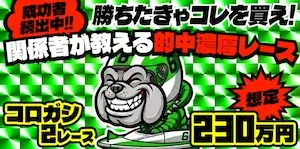 競艇ブルドッグの有料プラン「転がし230万」の画像