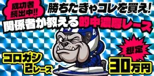 競艇ブルドッグの有料プラン「転がし30万」の画像